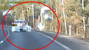 Patrolowali drogę w Wildze. Nagle pojawiło się TO! [VIDEO]