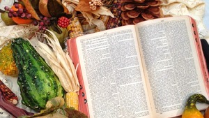 Ewangelia na dziś. Dlaczego królestwo Boże przypomina nasienie?