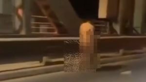 Szokujące sceny w Toruniu! Nagi, ciemnoskóry mężczyzna chodził po moście! [VIDEO]