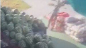 Wiatr porwał mężczyznę z parasolem. Pojawiło się wstrząsające nagranie (WIDEO)