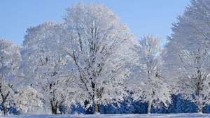 Śnieg w czasie lata! Takiej sytuacji nie było kilkanaście lat (FOTO)