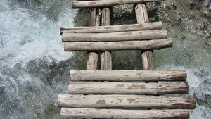 Ewangelia na dziś. "Dziesięciu zostało oczyszczonych? Gdzie jest dziewięciu?"