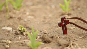 Ewangelia na dziś. Jezus ukazuje się niewiastom