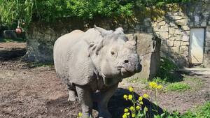 Skandaliczne zachowanie w warszawskim ZOO. Ogród Zoologiczny apeluje!