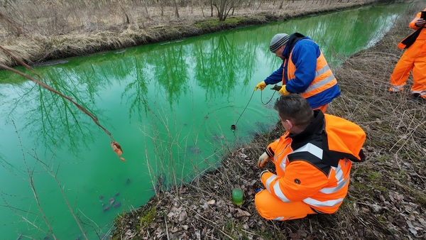 Zielona trucizna w rzece w Łodzi. Co trafiło do wody?