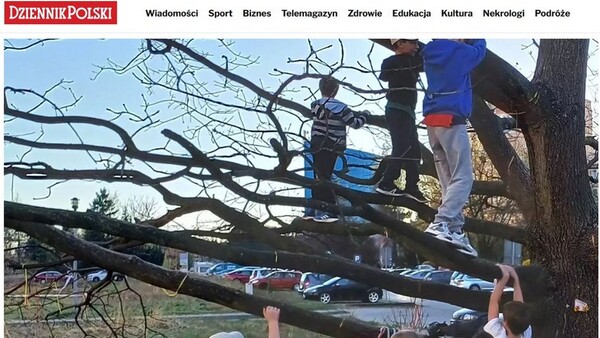 Dzieci uratowały drzewo przed wycięciem (FILM)