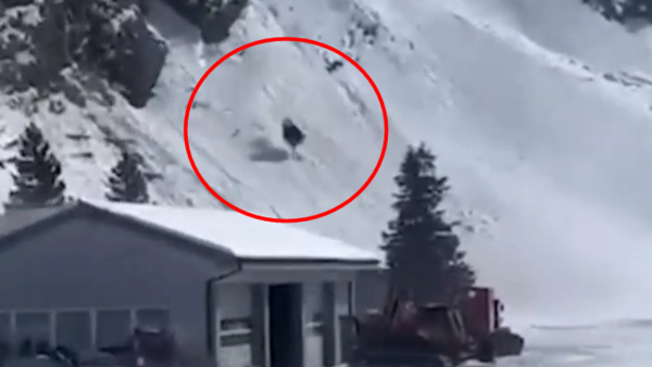 Tragedia na stoku narciarskim! Gondola z pasażerką runęła w dół! [VIDEO]