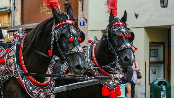Satanistyczny kongres ma odbyć się... w Krakowie. "Czy tam kogoś porąbało zupełnie?!"