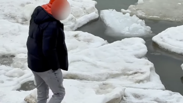 Przerażające sceny w Sopocie! "Selekcja naturalna!" [VIDEO]